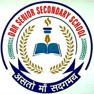 D B R SENIOR SECONDARY SCHOOL